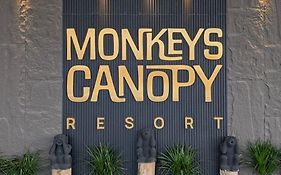 Monkeys Canopy Resort